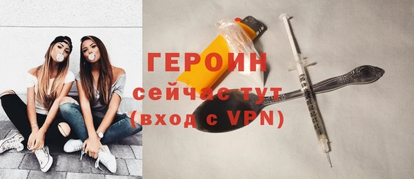 твердый Гусев