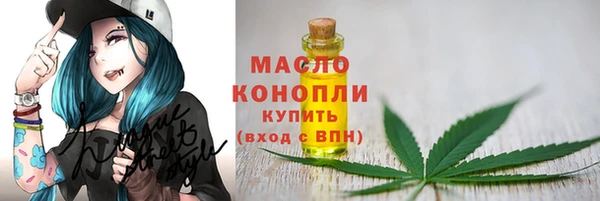 твердый Гусев