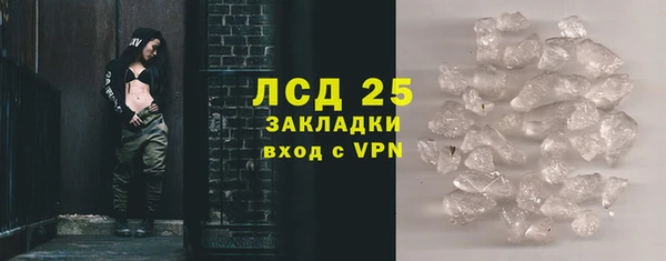 твердый Гусев