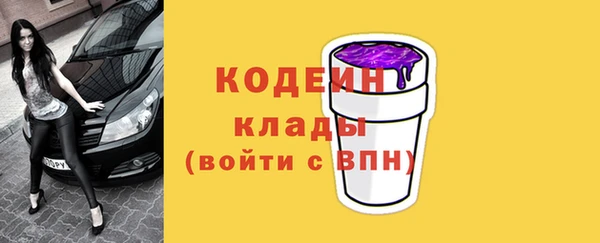 твердый Гусев
