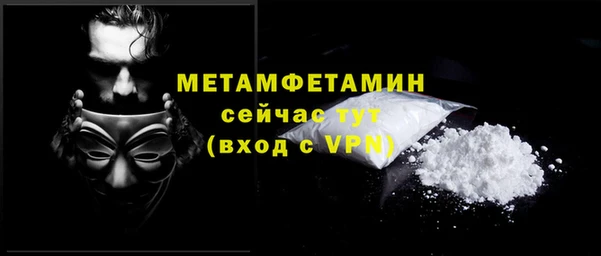 твердый Гусев