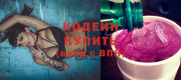 твердый Гусев