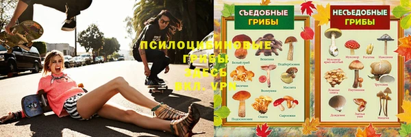 твердый Гусев