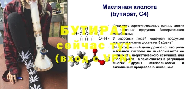 твердый Гусев