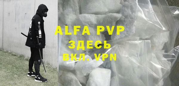 твердый Гусев